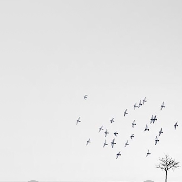 Meet your Posher, Kristy - Picture 1 of 1